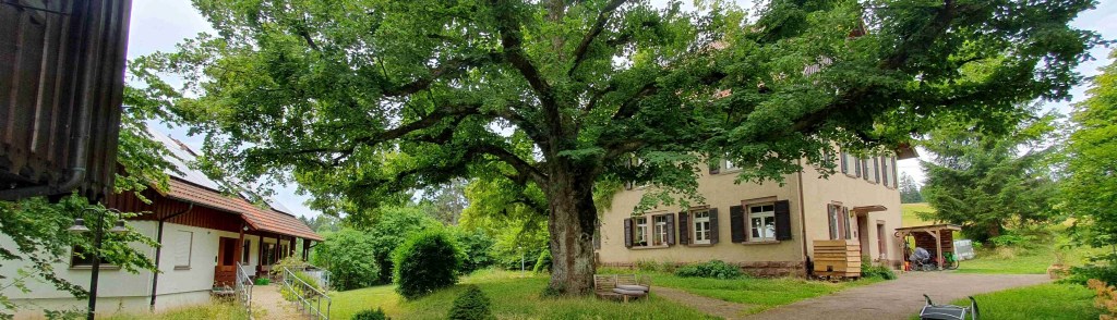 Ökodorf und Gemeinschaft&nbsp;Sonnenwald