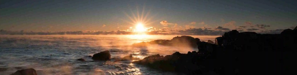 Der Garten Eden – anpacken statt&nbsp;meckern!